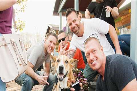 Pet-Friendly Restaurants in St. Louis, Missouri