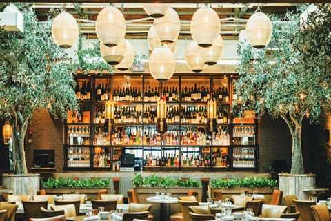 The Ultimate Guide to Upscale and Fine Dining in Northeastern Illinois