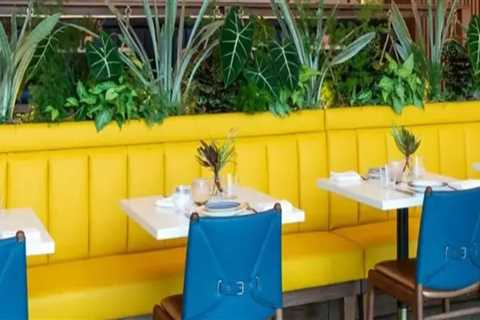 The Vibrant Restaurant Scene in Southeast SC: A Local Expert's Perspective
