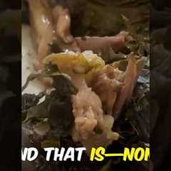 Trying REAL Hawaiian Food Lau Lau! Skip the Burgers and Donuts Get The Real Deal 🤙